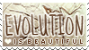 Evolution is Beautiful Stamp